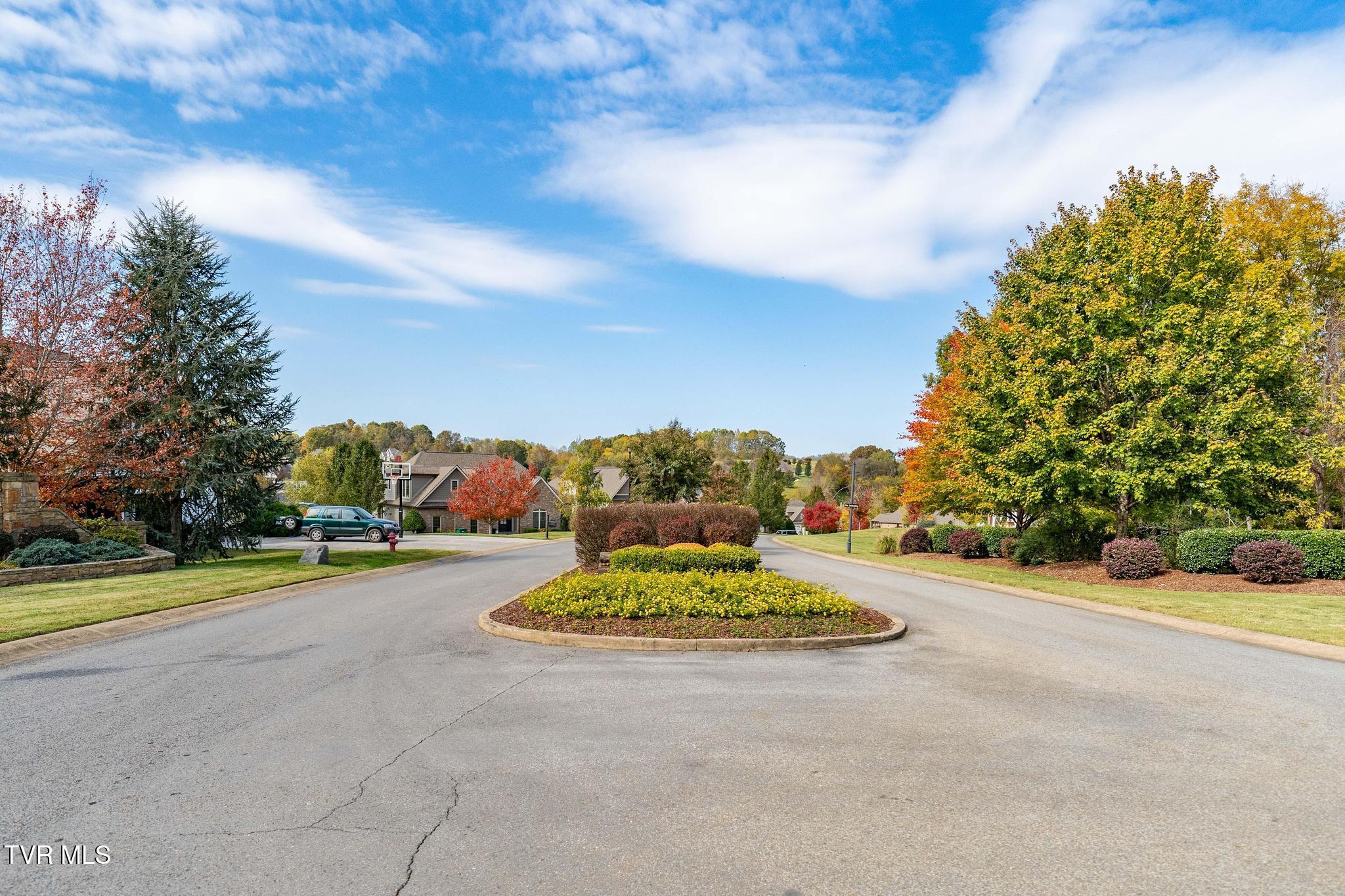 109 Lookout Court, Blountville, Tennessee image 48