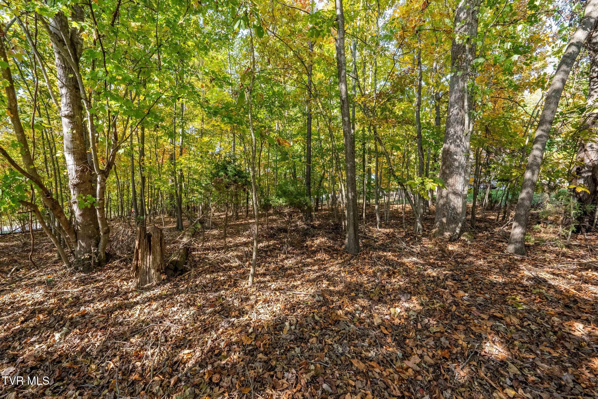 109 Lookout Court, Blountville, Tennessee image 21