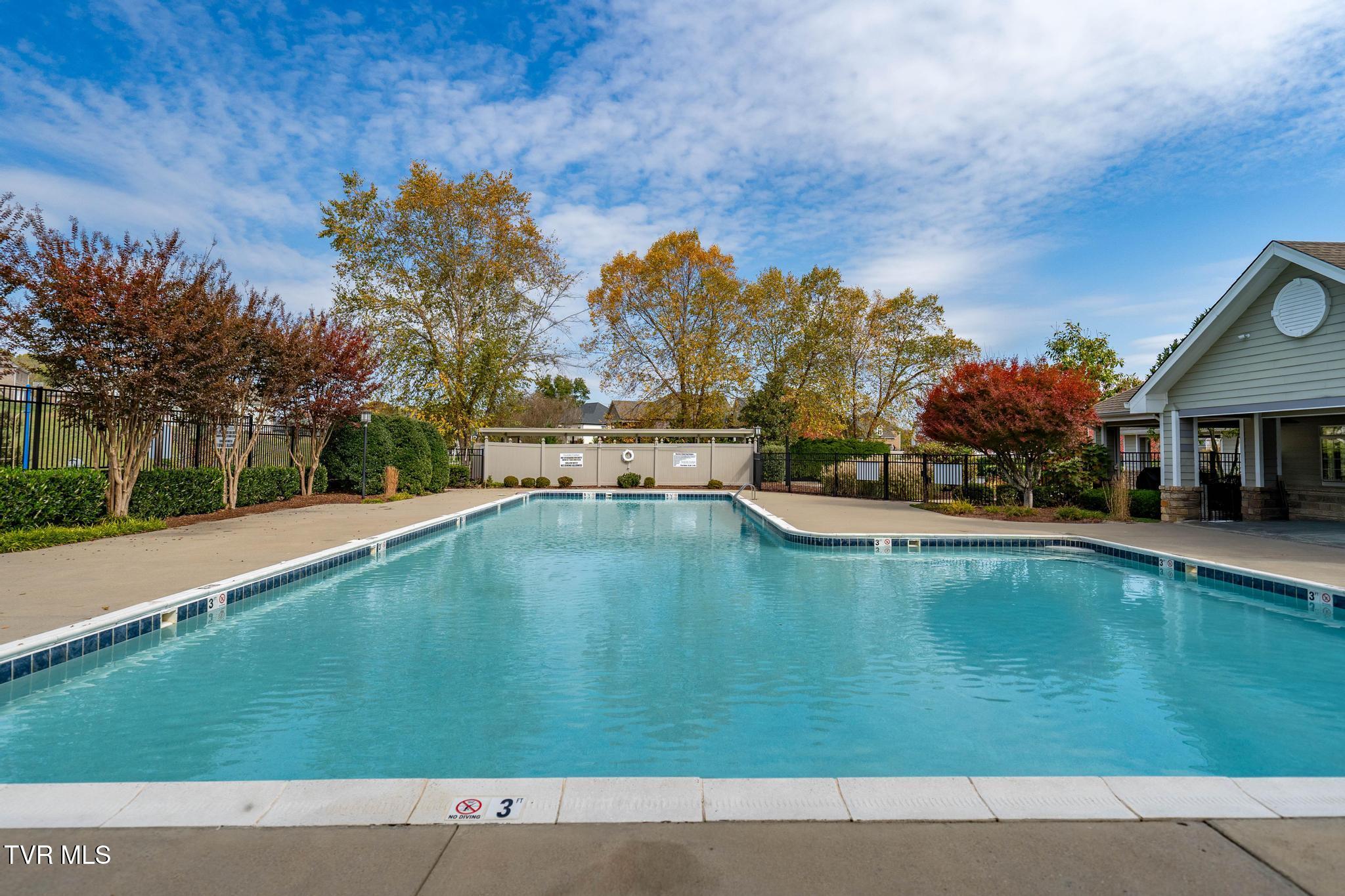 109 Lookout Court, Blountville, Tennessee image 40