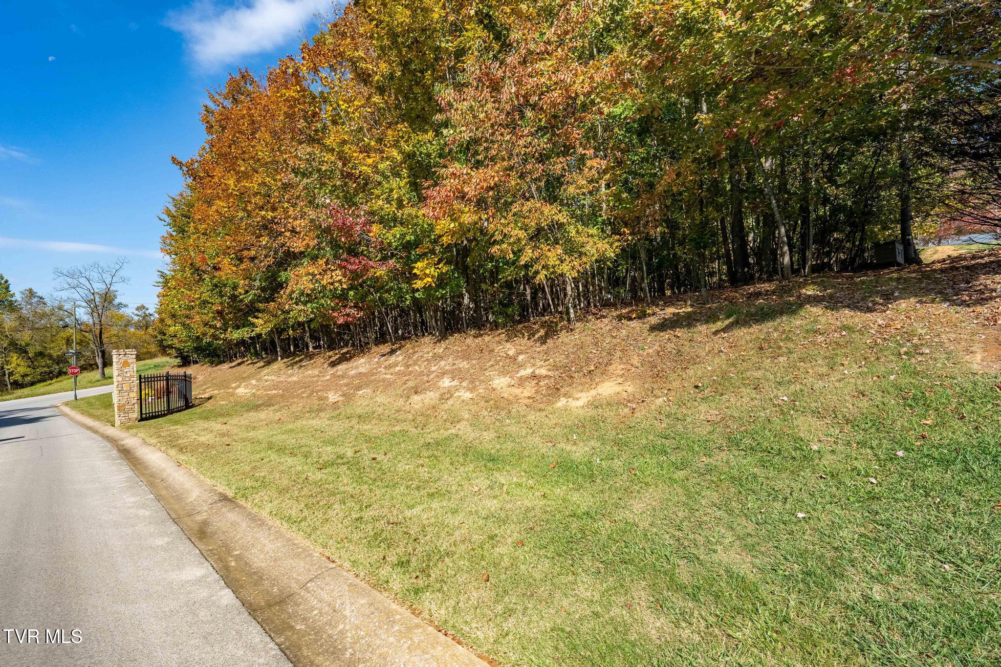 109 Lookout Court, Blountville, Tennessee image 19
