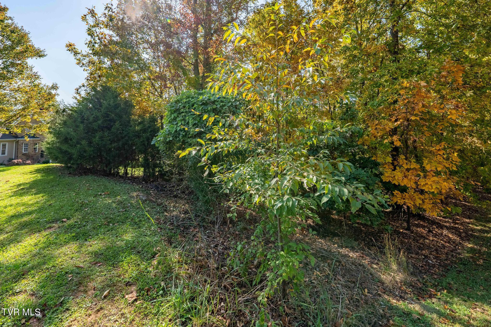109 Lookout Court, Blountville, Tennessee image 8