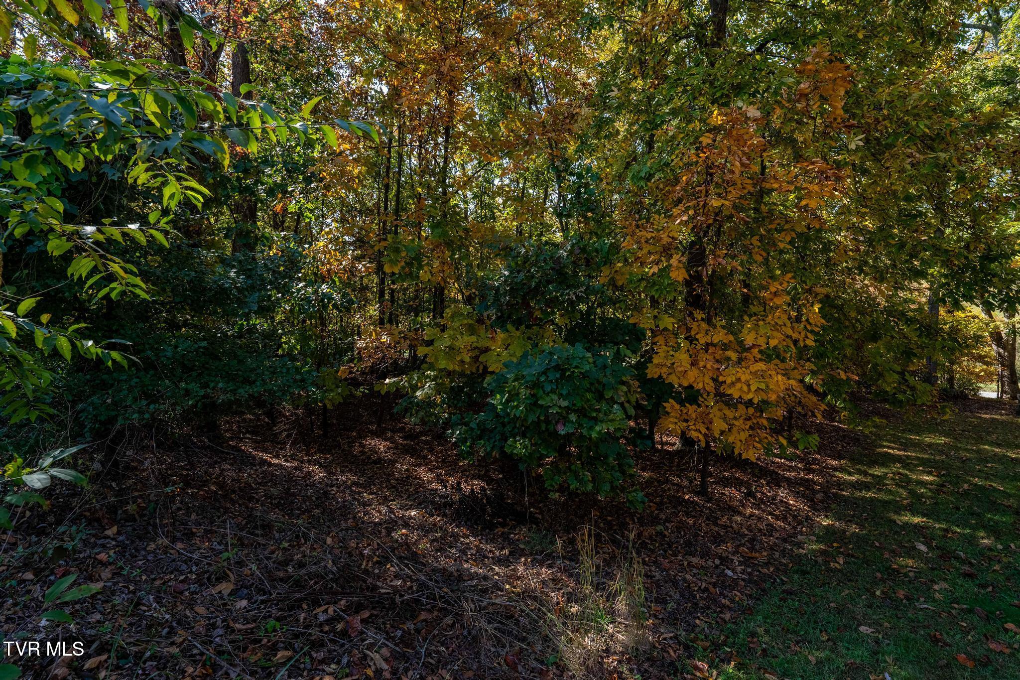 109 Lookout Court, Blountville, Tennessee image 9