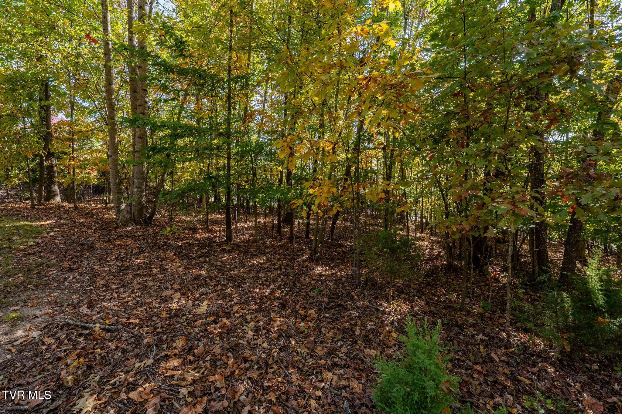 109 Lookout Court, Blountville, Tennessee image 13