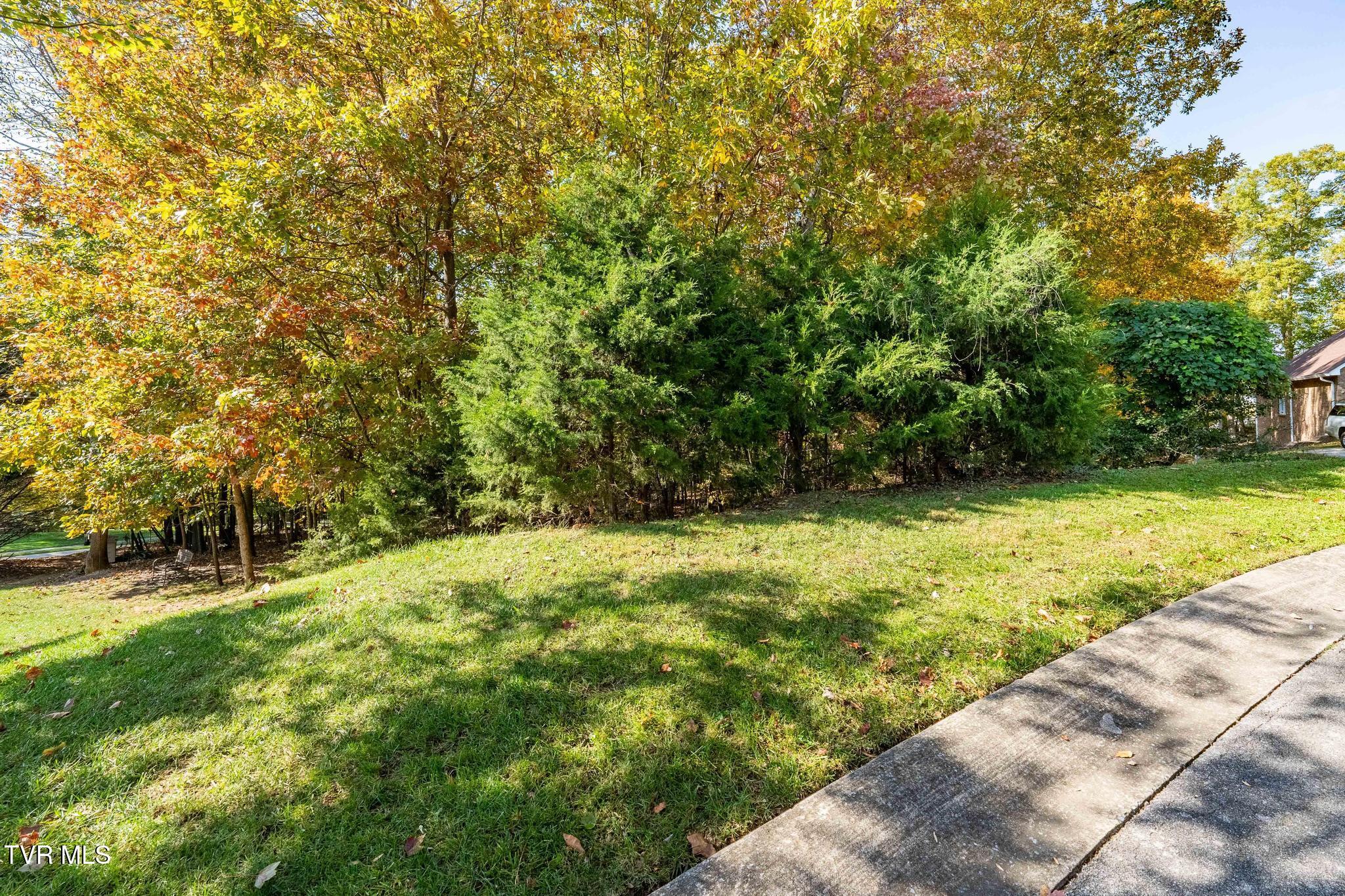 109 Lookout Court, Blountville, Tennessee image 7