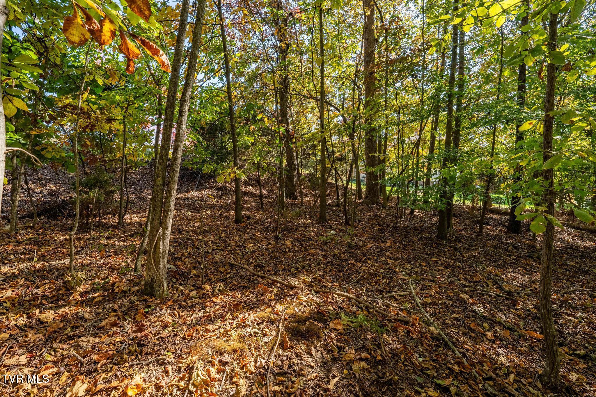 109 Lookout Court, Blountville, Tennessee image 11