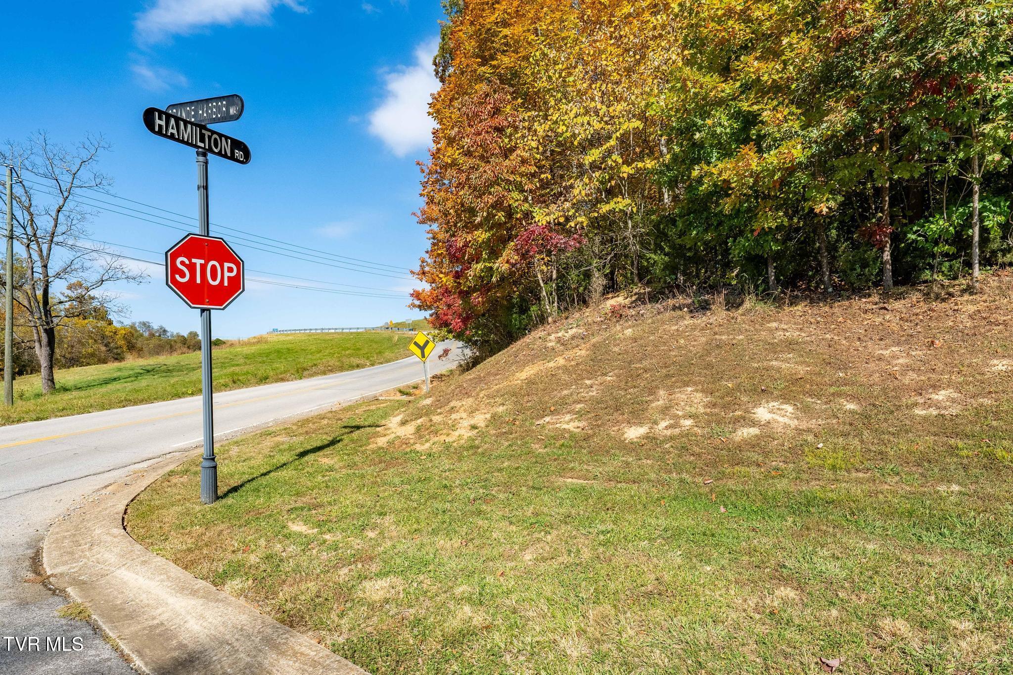 109 Lookout Court, Blountville, Tennessee image 18