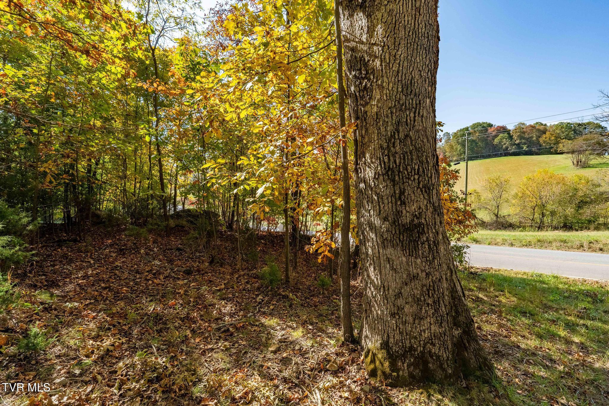 109 Lookout Court, Blountville, Tennessee image 15