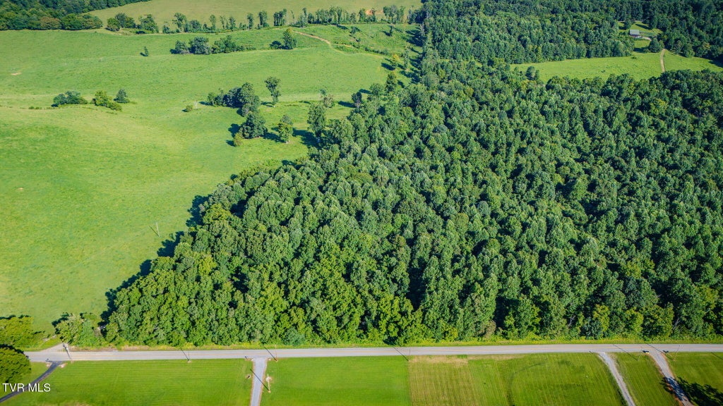 Photo of 3703 Old Snapps Ferry Road, Limestone, TN 37681 (MLS # 9999015)