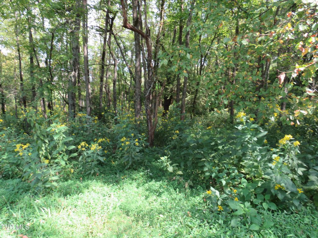 Photo of Tbd Grandview Circle, Rogersville, TN 37857 (MLS # 9987061)