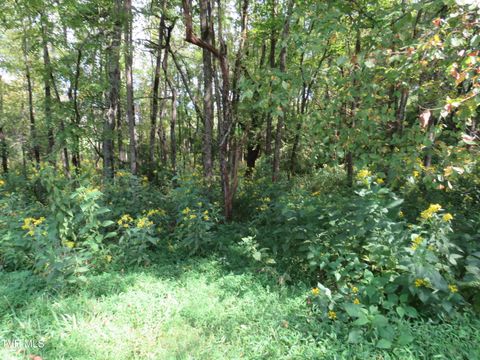 Vacant Land For Sale - TBD Grandview Circle<br/> Rogersville, TN 37857