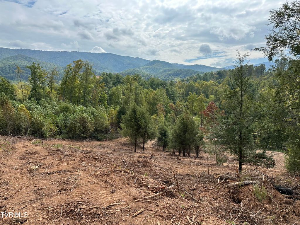 Photo of Tbd 000 Dug Hill Road, Mountain City, TN 37683 (MLS # 9987650)