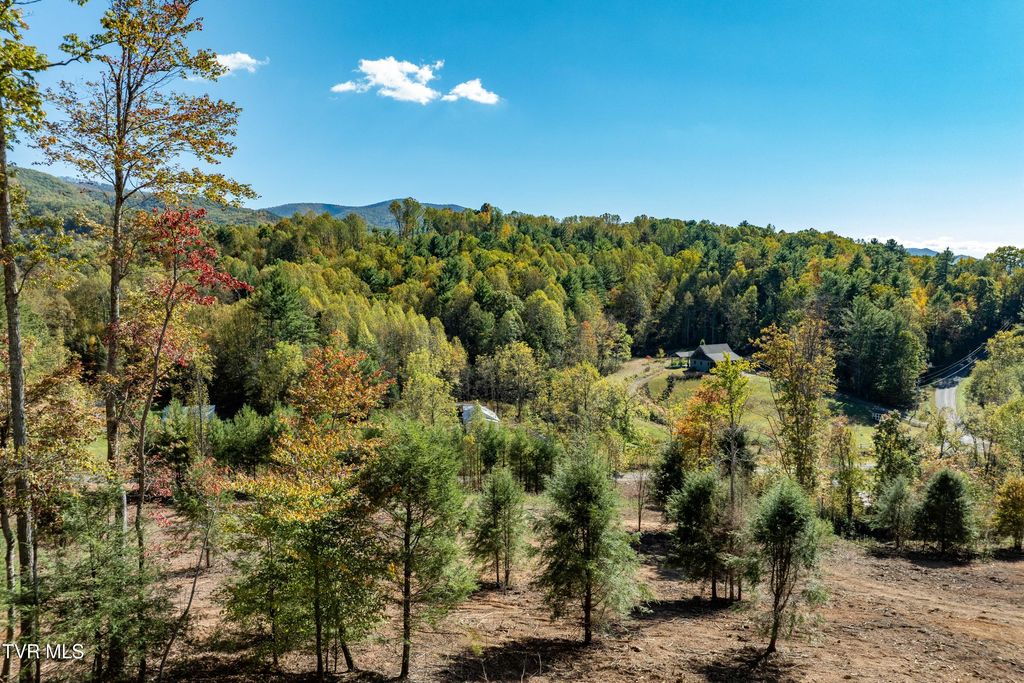 Photo of Tbd 000 Dug Hill Road, Mountain City, TN 37683 (MLS # 9987650)