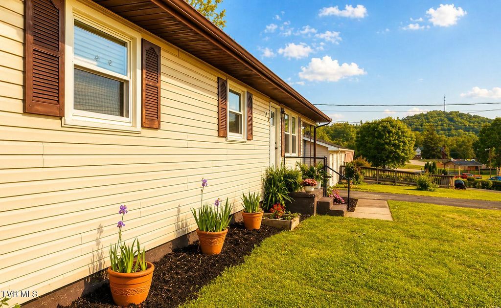 Photo of 728 Lynn Avenue, Elizabethton, TN 37643 (MLS # 9994694)