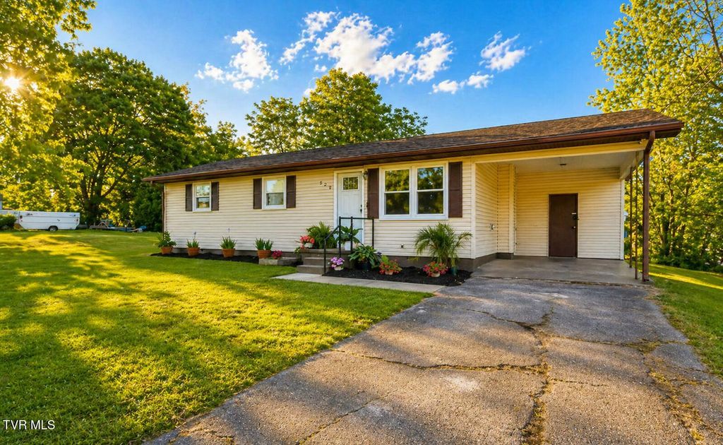 Photo of 728 Lynn Avenue, Elizabethton, TN 37643 (MLS # 9994694)