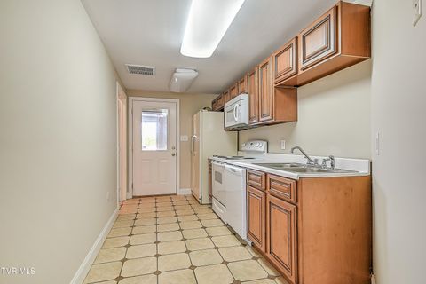 Tiny photo for 260 Dominique Lane, Greeneville, TN 37743 (MLS # 9979748)