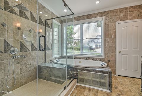 Tiny photo for 260 Dominique Lane, Greeneville, TN 37743 (MLS # 9979748)