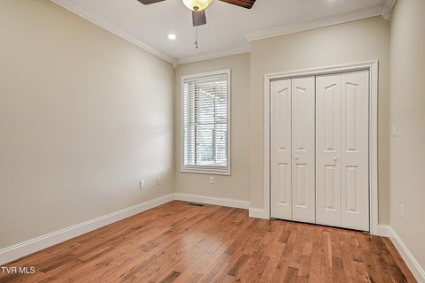 Tiny photo for 260 Dominique Lane, Greeneville, TN 37743 (MLS # 9979748)