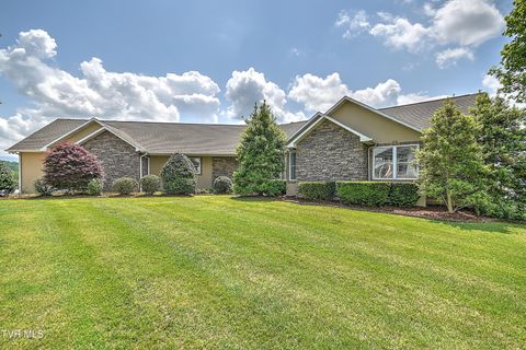 260 Dominique Lane Greeneville TN 37743