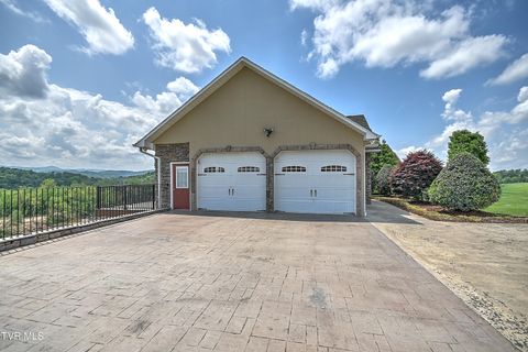 Tiny photo for 260 Dominique Lane, Greeneville, TN 37743 (MLS # 9979748)