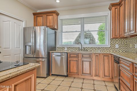 Tiny photo for 260 Dominique Lane, Greeneville, TN 37743 (MLS # 9979748)
