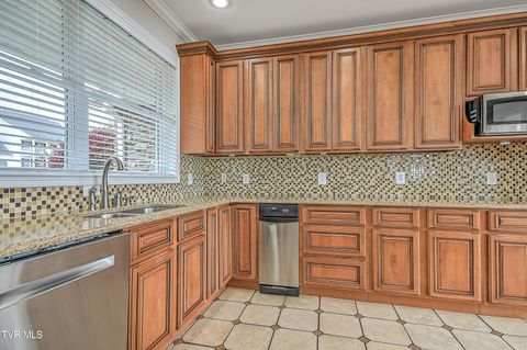 Tiny photo for 260 Dominique Lane, Greeneville, TN 37743 (MLS # 9979748)