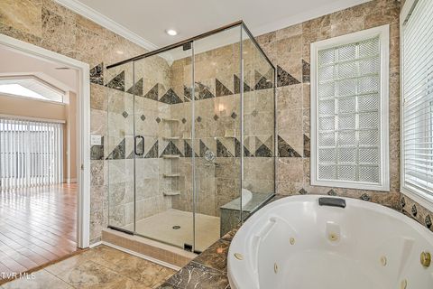 Tiny photo for 260 Dominique Lane, Greeneville, TN 37743 (MLS # 9979748)