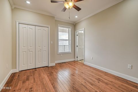 Tiny photo for 260 Dominique Lane, Greeneville, TN 37743 (MLS # 9979748)