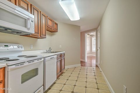 Tiny photo for 260 Dominique Lane, Greeneville, TN 37743 (MLS # 9979748)