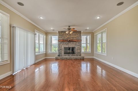 Tiny photo for 260 Dominique Lane, Greeneville, TN 37743 (MLS # 9979748)