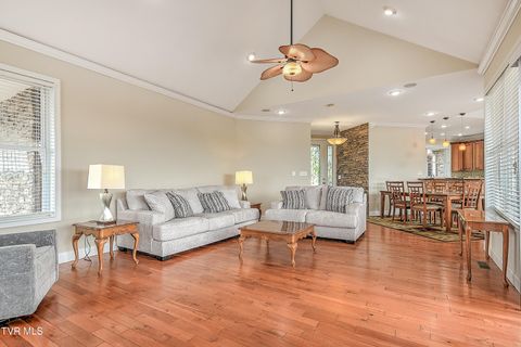 Tiny photo for 260 Dominique Lane, Greeneville, TN 37743 (MLS # 9979748)