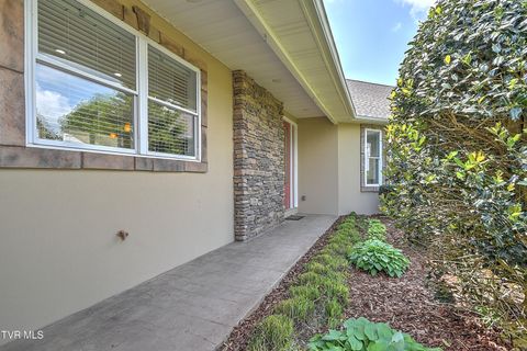 Tiny photo for 260 Dominique Lane, Greeneville, TN 37743 (MLS # 9979748)