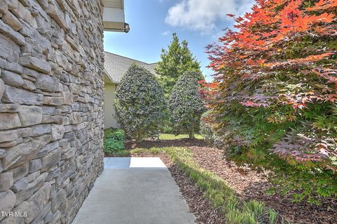 Tiny photo for 260 Dominique Lane, Greeneville, TN 37743 (MLS # 9979748)