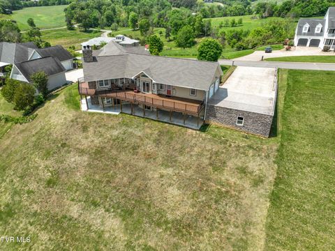 Tiny photo for 260 Dominique Lane, Greeneville, TN 37743 (MLS # 9979748)