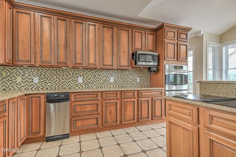 Tiny photo for 260 Dominique Lane, Greeneville, TN 37743 (MLS # 9979748)
