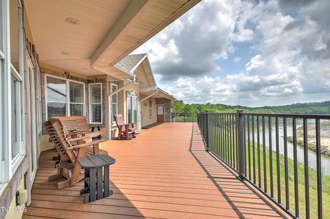 Tiny photo for 260 Dominique Lane, Greeneville, TN 37743 (MLS # 9979748)