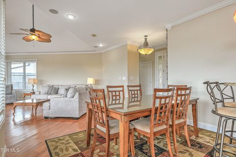 Tiny photo for 260 Dominique Lane, Greeneville, TN 37743 (MLS # 9979748)