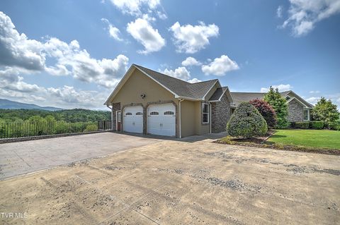 Tiny photo for 260 Dominique Lane, Greeneville, TN 37743 (MLS # 9979748)