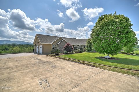 Tiny photo for 260 Dominique Lane, Greeneville, TN 37743 (MLS # 9979748)