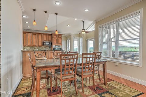 Tiny photo for 260 Dominique Lane, Greeneville, TN 37743 (MLS # 9979748)