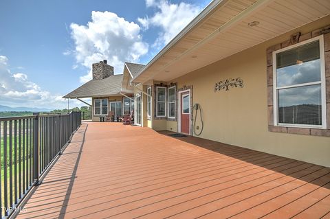 Tiny photo for 260 Dominique Lane, Greeneville, TN 37743 (MLS # 9979748)