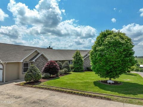 Tiny photo for 260 Dominique Lane, Greeneville, TN 37743 (MLS # 9979748)