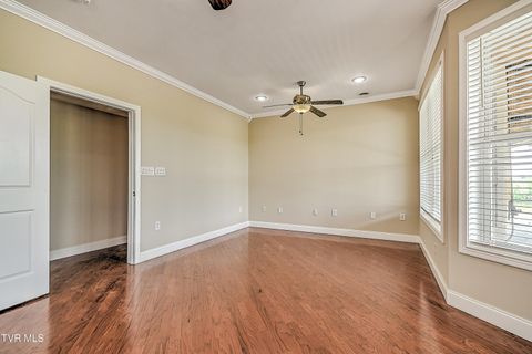 Tiny photo for 260 Dominique Lane, Greeneville, TN 37743 (MLS # 9979748)