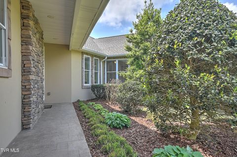 Tiny photo for 260 Dominique Lane, Greeneville, TN 37743 (MLS # 9979748)