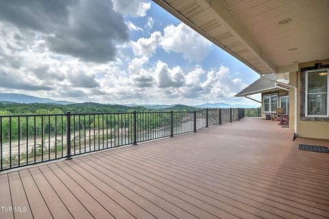 Tiny photo for 260 Dominique Lane, Greeneville, TN 37743 (MLS # 9979748)