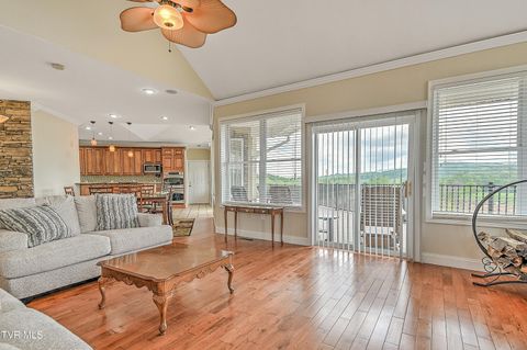 Tiny photo for 260 Dominique Lane, Greeneville, TN 37743 (MLS # 9979748)