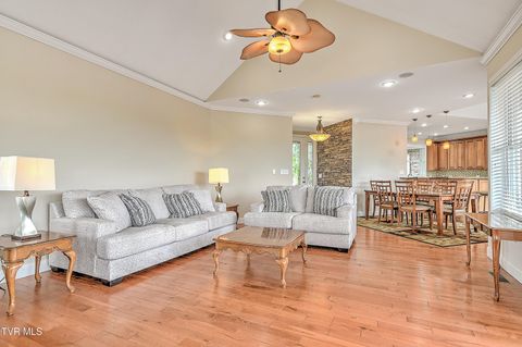 Tiny photo for 260 Dominique Lane, Greeneville, TN 37743 (MLS # 9979748)