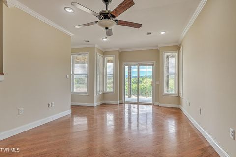 Tiny photo for 260 Dominique Lane, Greeneville, TN 37743 (MLS # 9979748)