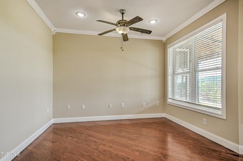 Tiny photo for 260 Dominique Lane, Greeneville, TN 37743 (MLS # 9979748)