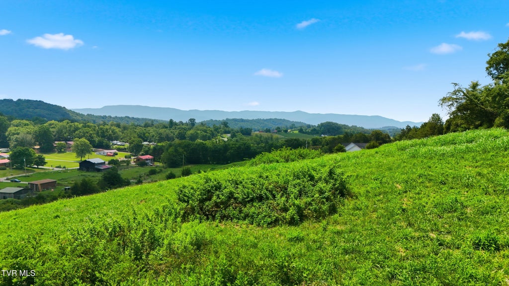 Photo of Tbd Chuckey Ruritan Road, Chuckey, TN 37641 (MLS # 9998464)