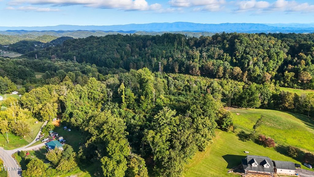 Photo of 2892 Island Road, Blountville, TN 37617 (MLS # 9985757)